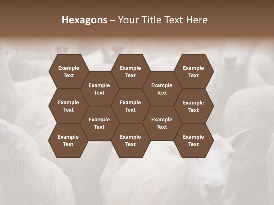 Herd Of Sheep PowerPoint Template
