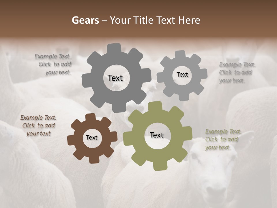 Herd Of Sheep PowerPoint Template