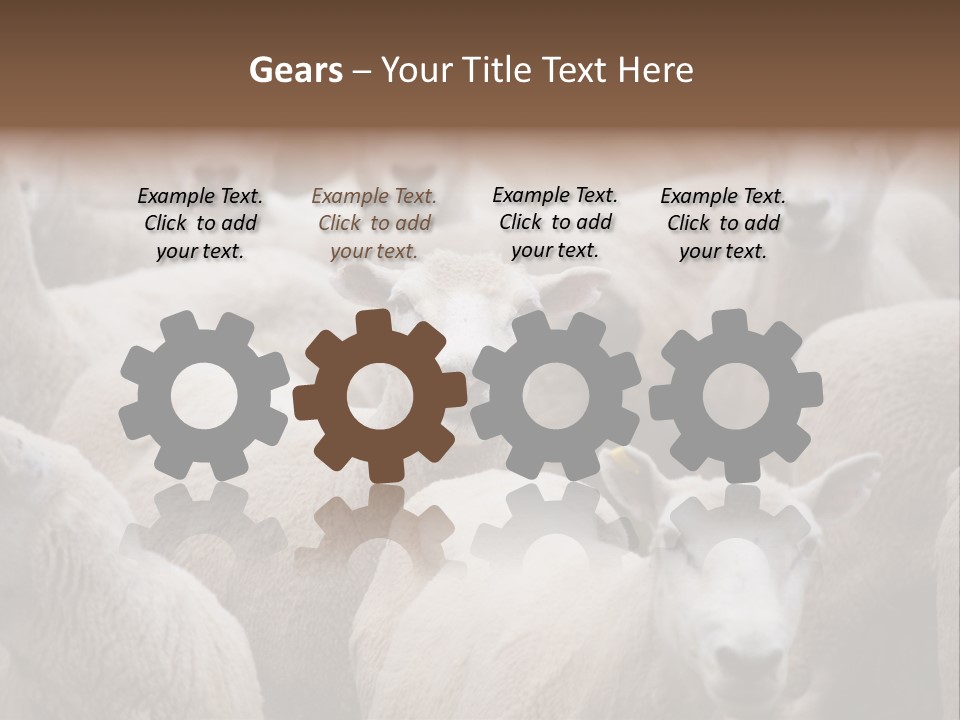 Herd Of Sheep PowerPoint Template