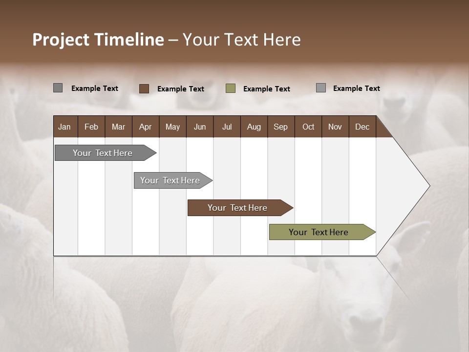 Herd Of Sheep PowerPoint Template