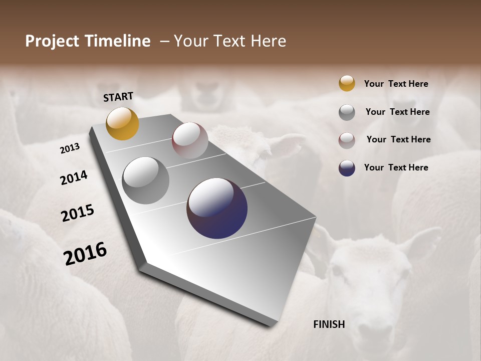 Herd Of Sheep PowerPoint Template