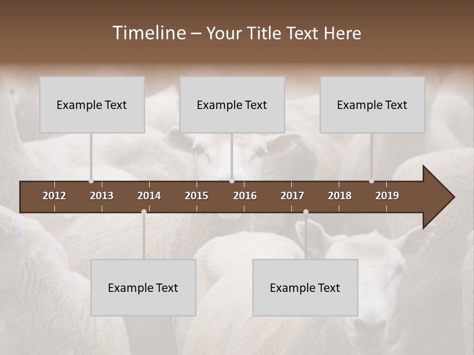Herd Of Sheep PowerPoint Template