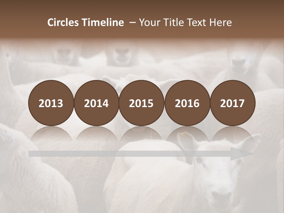 Herd Of Sheep PowerPoint Template