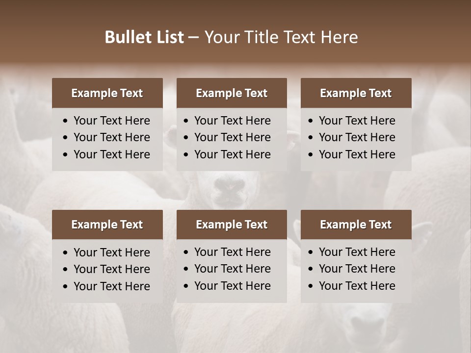 Herd Of Sheep PowerPoint Template