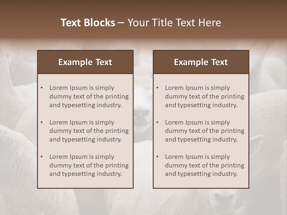 Herd Of Sheep PowerPoint Template