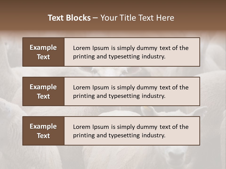 Herd Of Sheep PowerPoint Template