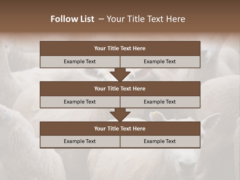 Herd Of Sheep PowerPoint Template