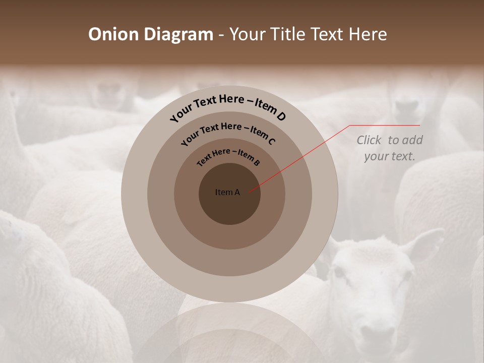 Herd Of Sheep PowerPoint Template