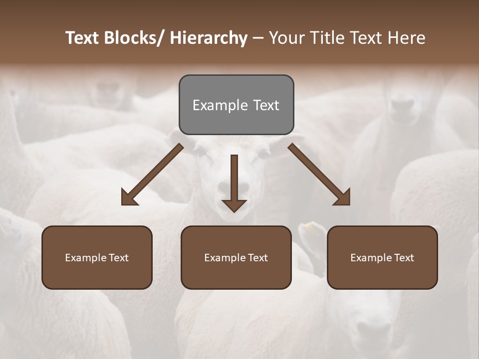 Herd Of Sheep PowerPoint Template