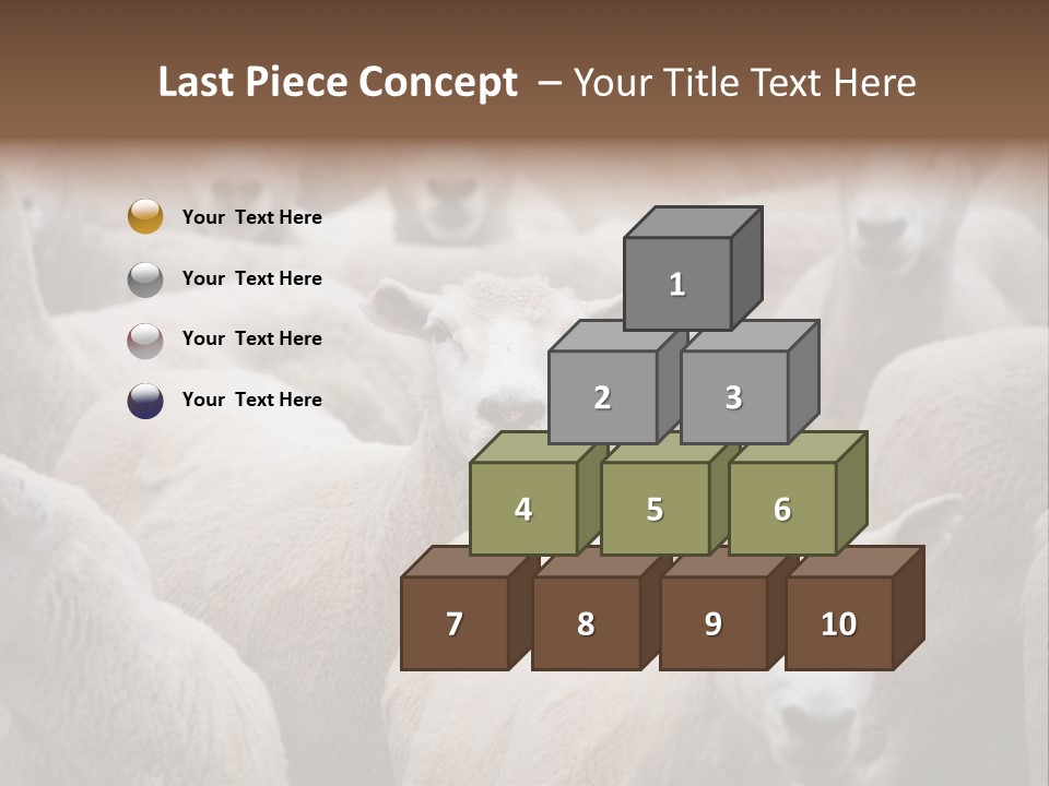 Herd Of Sheep PowerPoint Template