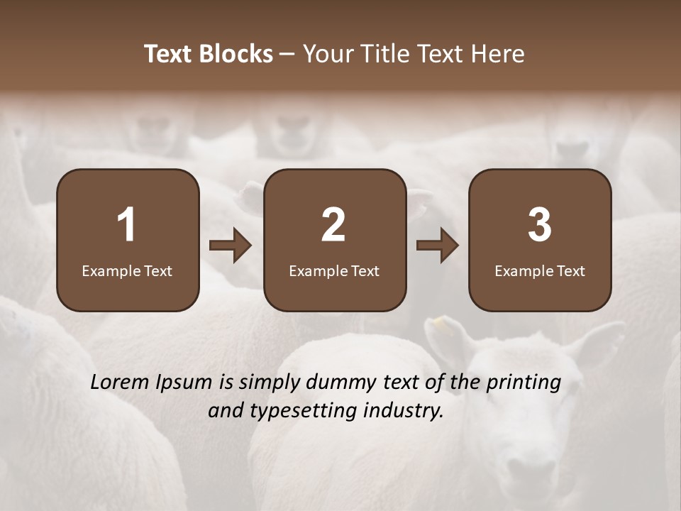Herd Of Sheep PowerPoint Template