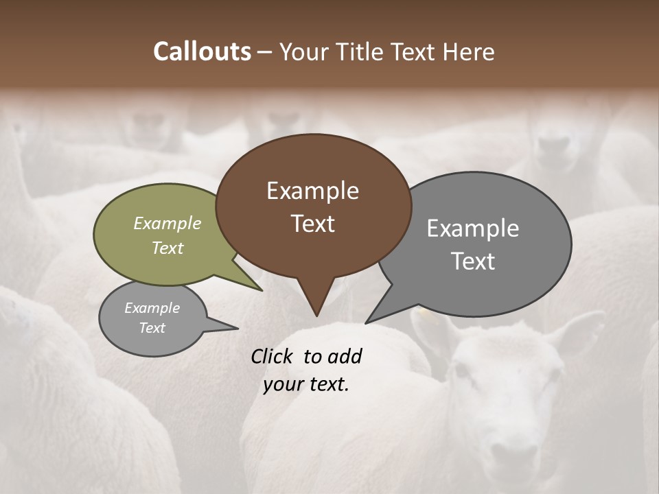 Herd Of Sheep PowerPoint Template