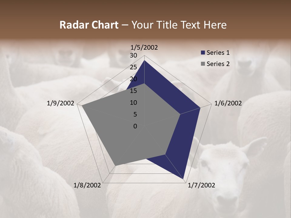 Herd Of Sheep PowerPoint Template