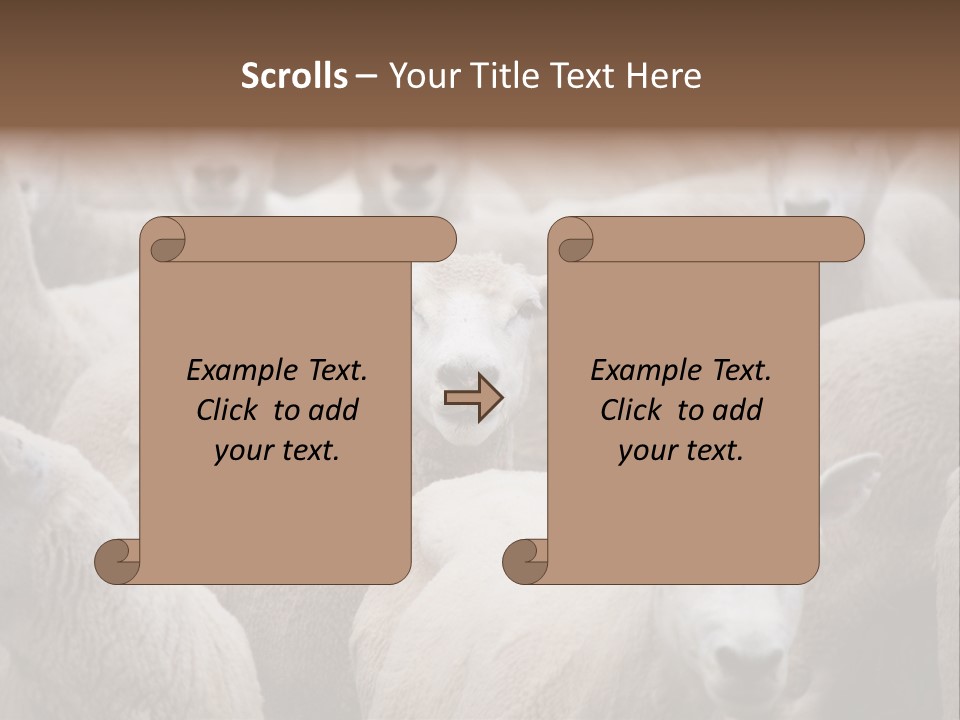 Herd Of Sheep PowerPoint Template