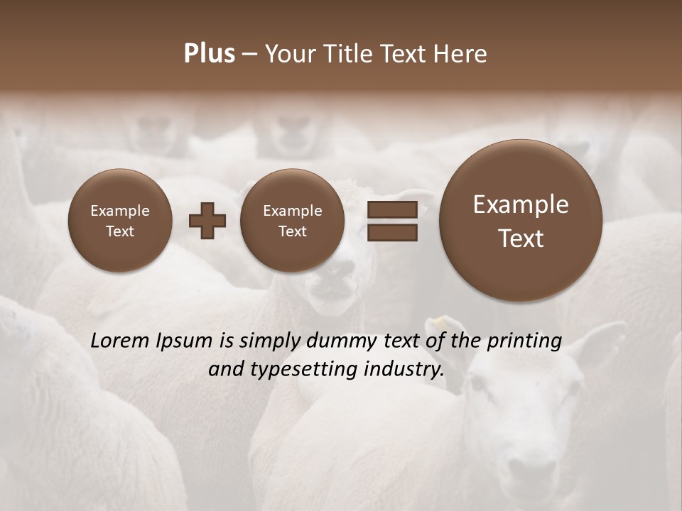 Herd Of Sheep PowerPoint Template