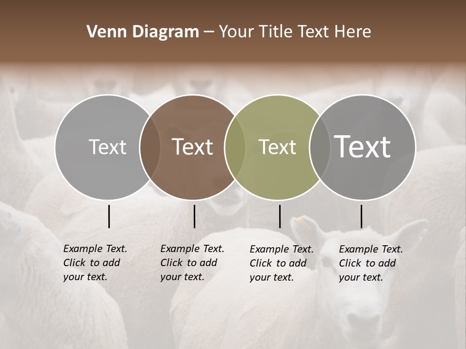 Herd Of Sheep PowerPoint Template