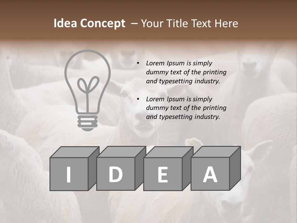 Herd Of Sheep PowerPoint Template