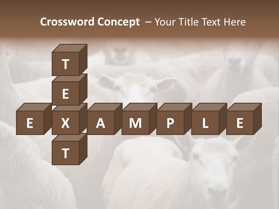 Herd Of Sheep PowerPoint Template