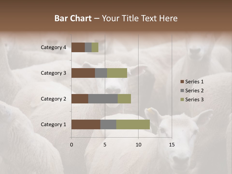 Herd Of Sheep PowerPoint Template