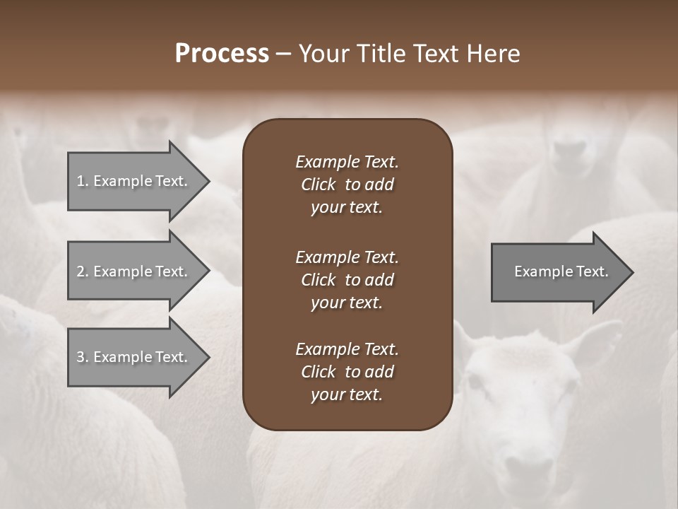 Herd Of Sheep PowerPoint Template