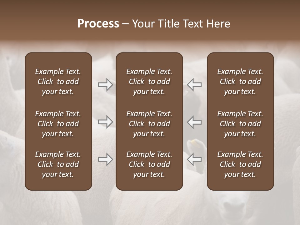 Herd Of Sheep PowerPoint Template