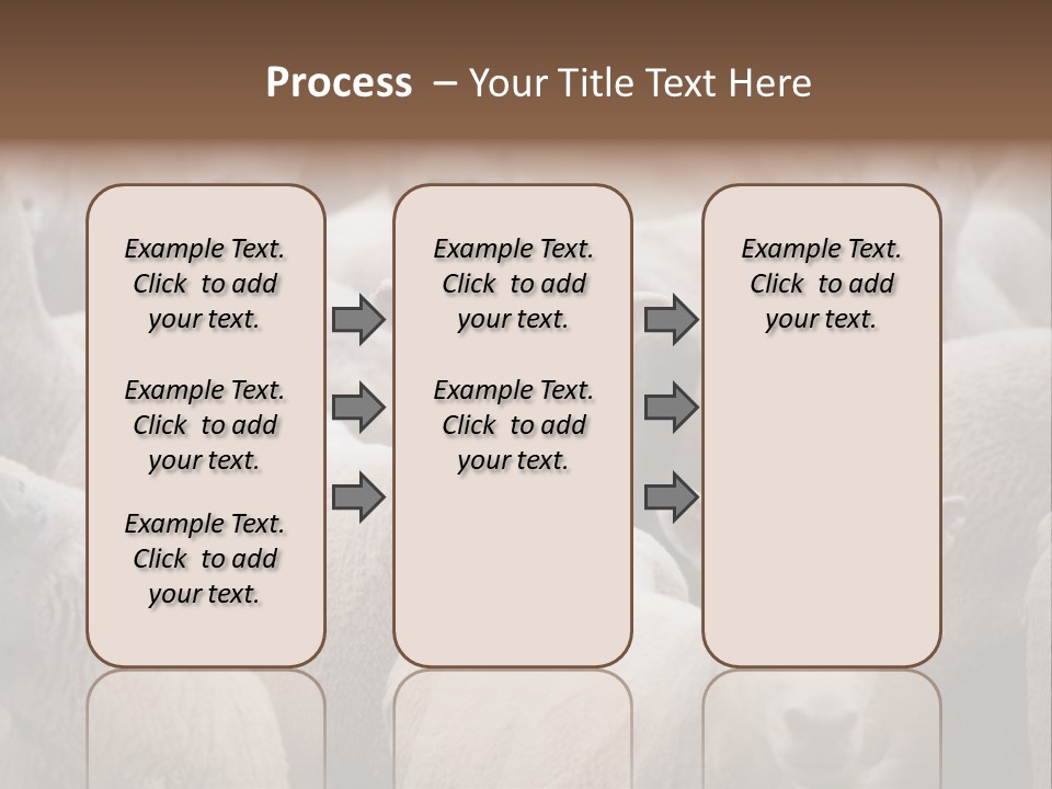 Herd Of Sheep PowerPoint Template