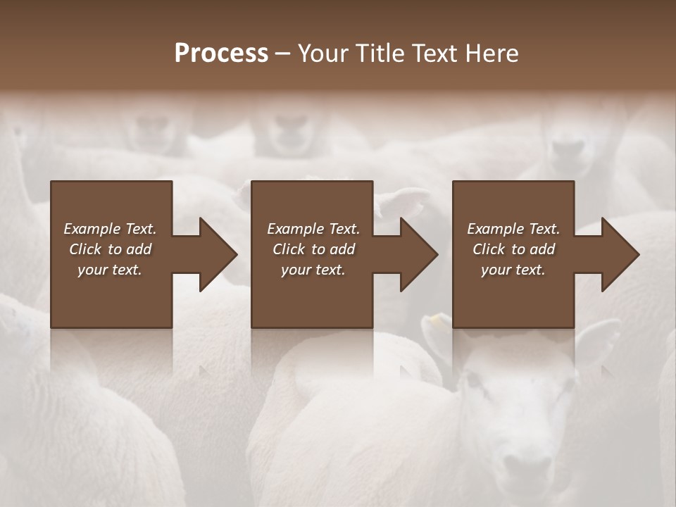 Herd Of Sheep PowerPoint Template