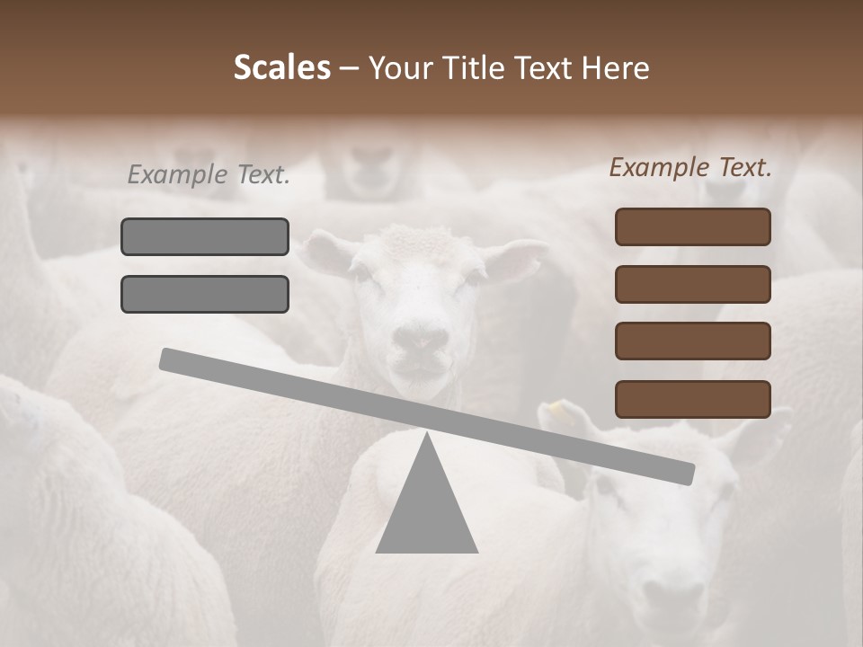 Herd Of Sheep PowerPoint Template