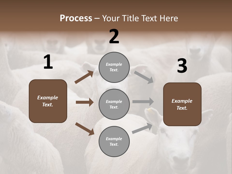 Herd Of Sheep PowerPoint Template