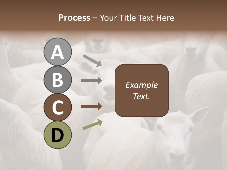 Herd Of Sheep PowerPoint Template