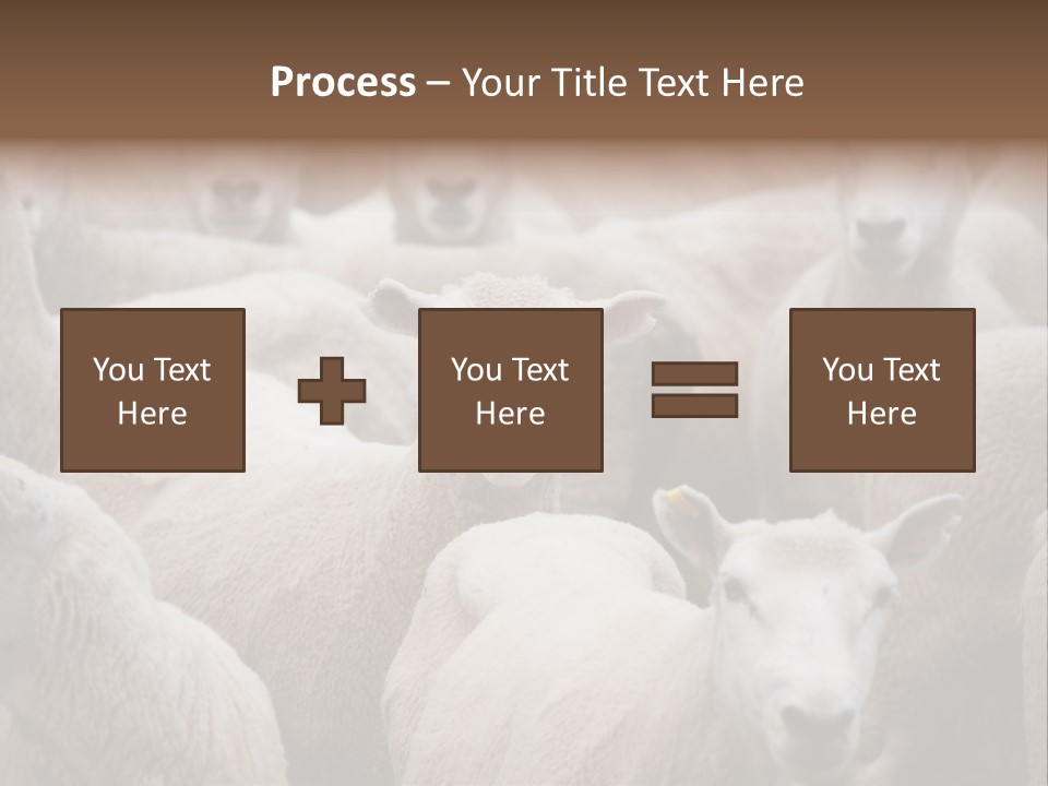 Herd Of Sheep PowerPoint Template