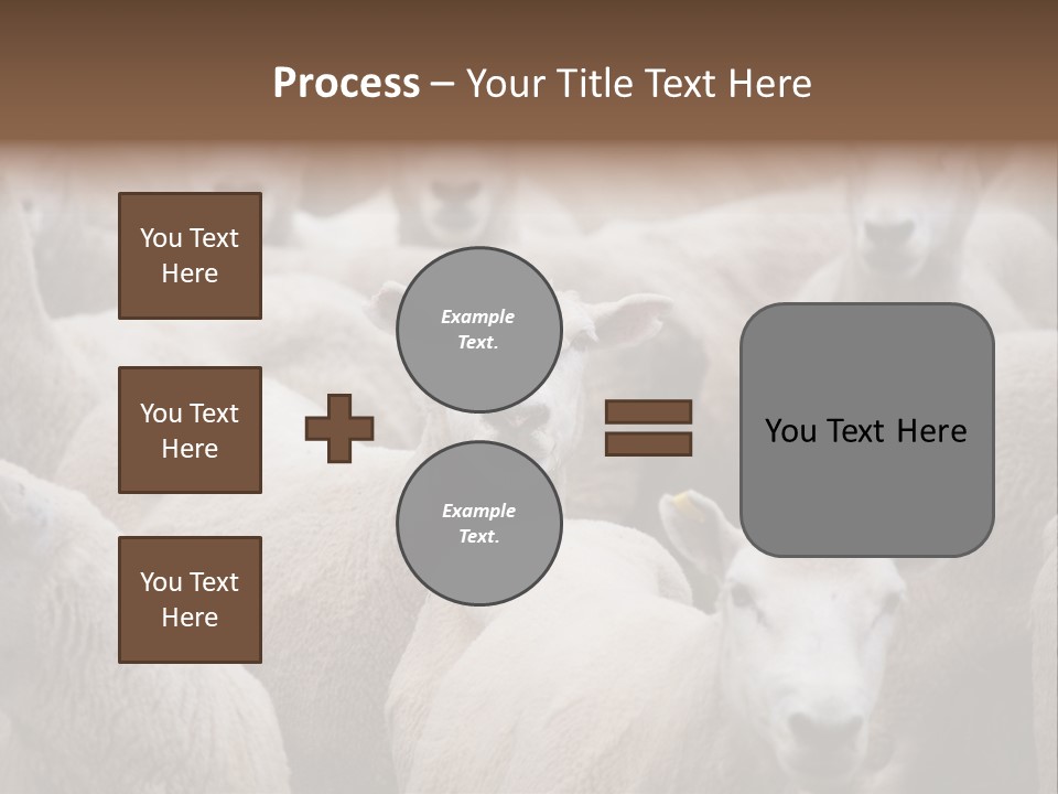 Herd Of Sheep PowerPoint Template