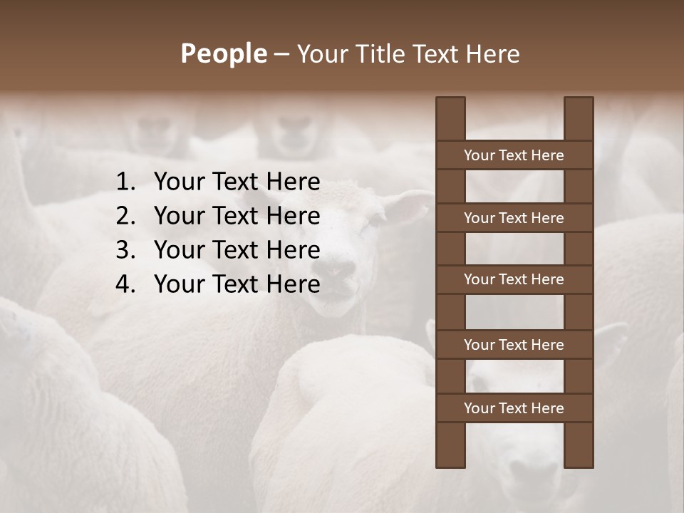 Herd Of Sheep PowerPoint Template