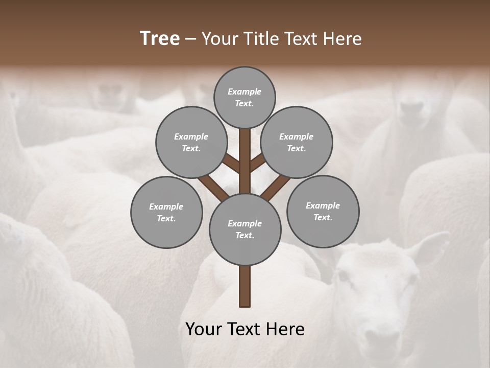 Herd Of Sheep PowerPoint Template