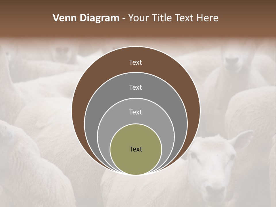 Herd Of Sheep PowerPoint Template