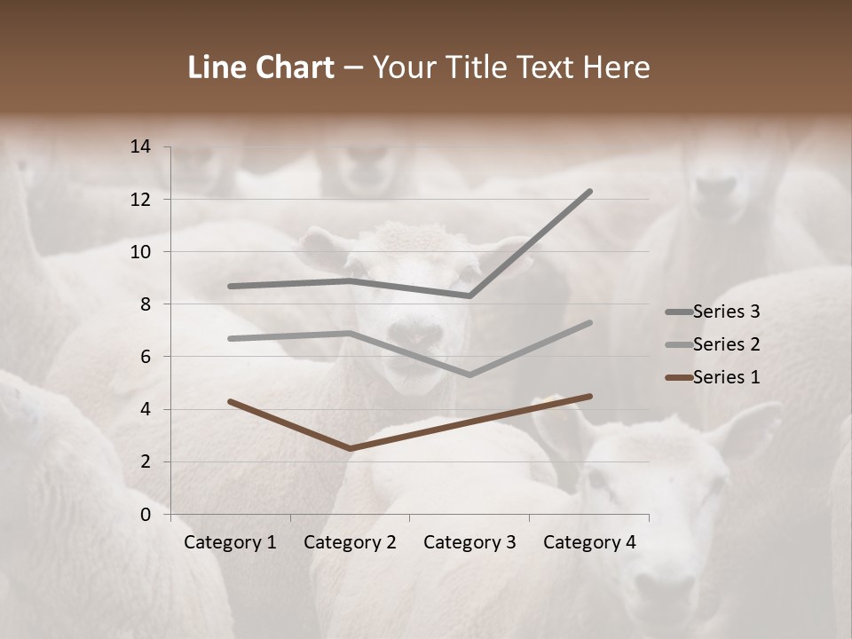 Herd Of Sheep PowerPoint Template