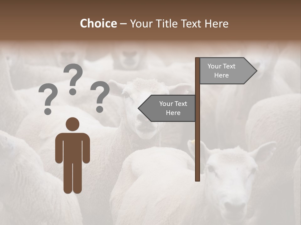 Herd Of Sheep PowerPoint Template