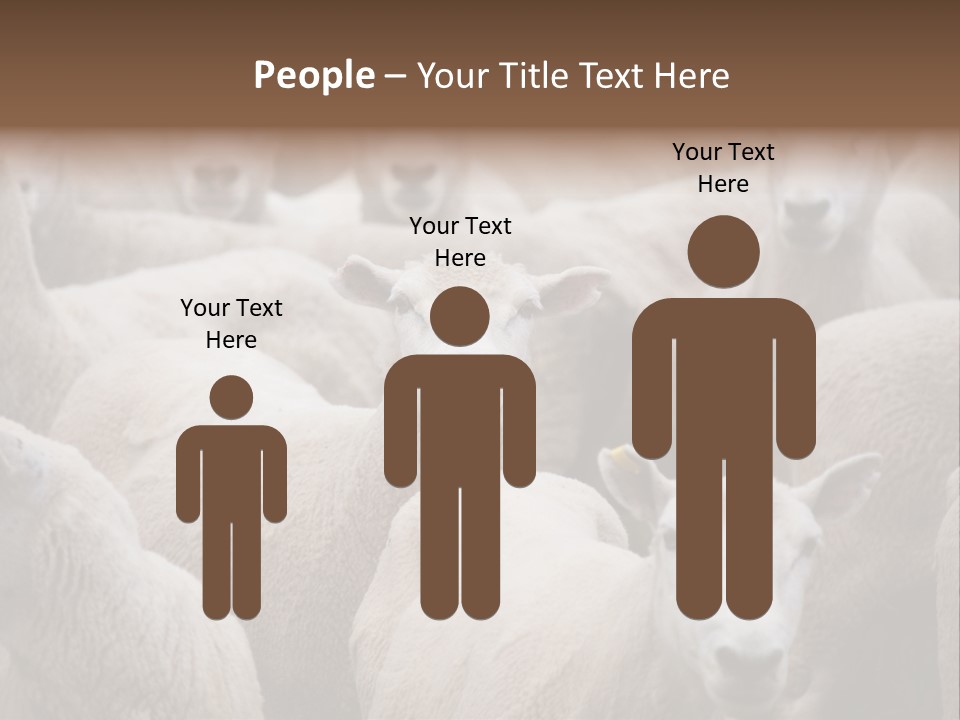 Herd Of Sheep PowerPoint Template
