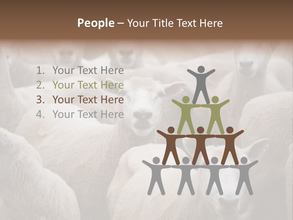 Herd Of Sheep PowerPoint Template