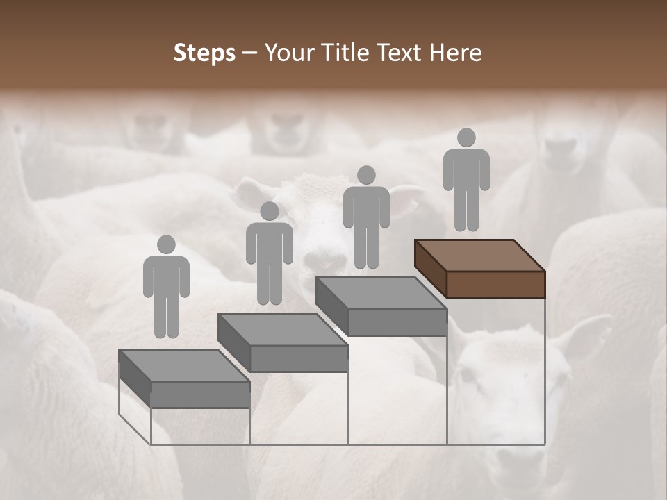 Herd Of Sheep PowerPoint Template