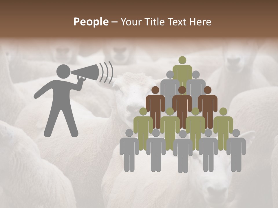 Herd Of Sheep PowerPoint Template