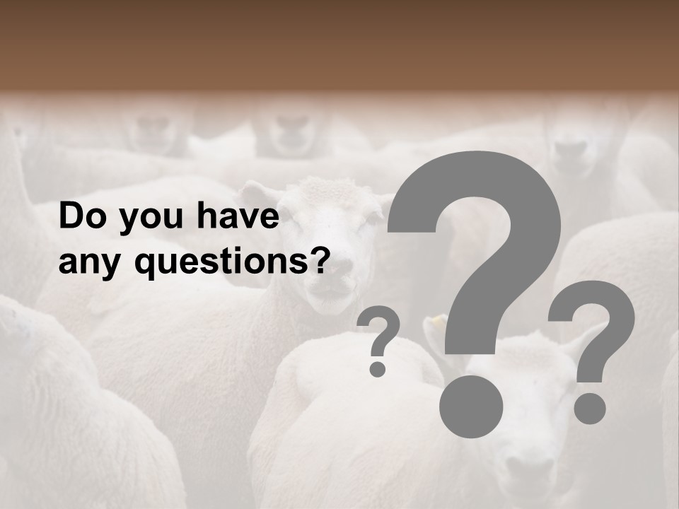 Herd Of Sheep PowerPoint Template