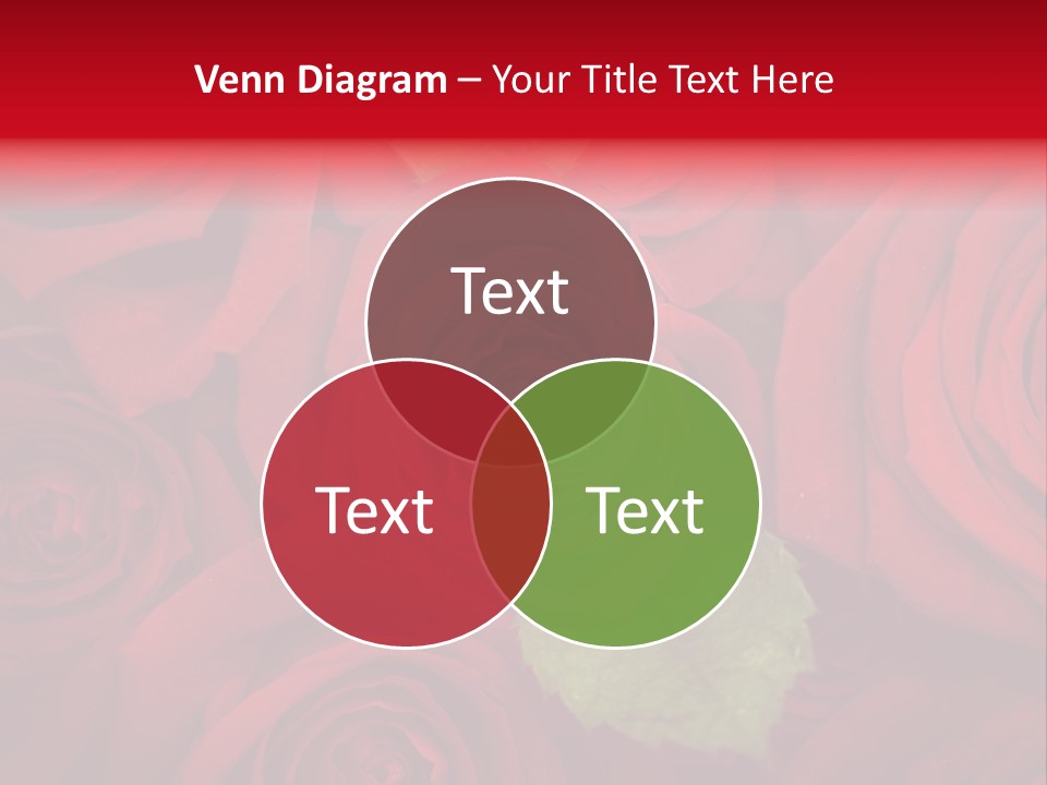 Happy New Year 2013 With Red Rose PowerPoint Template