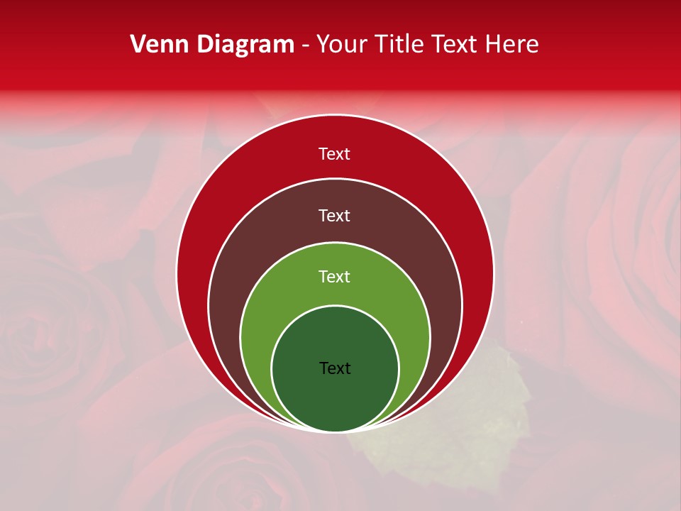 Happy New Year 2013 With Red Rose PowerPoint Template