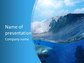 Bull Sharks PowerPoint Template