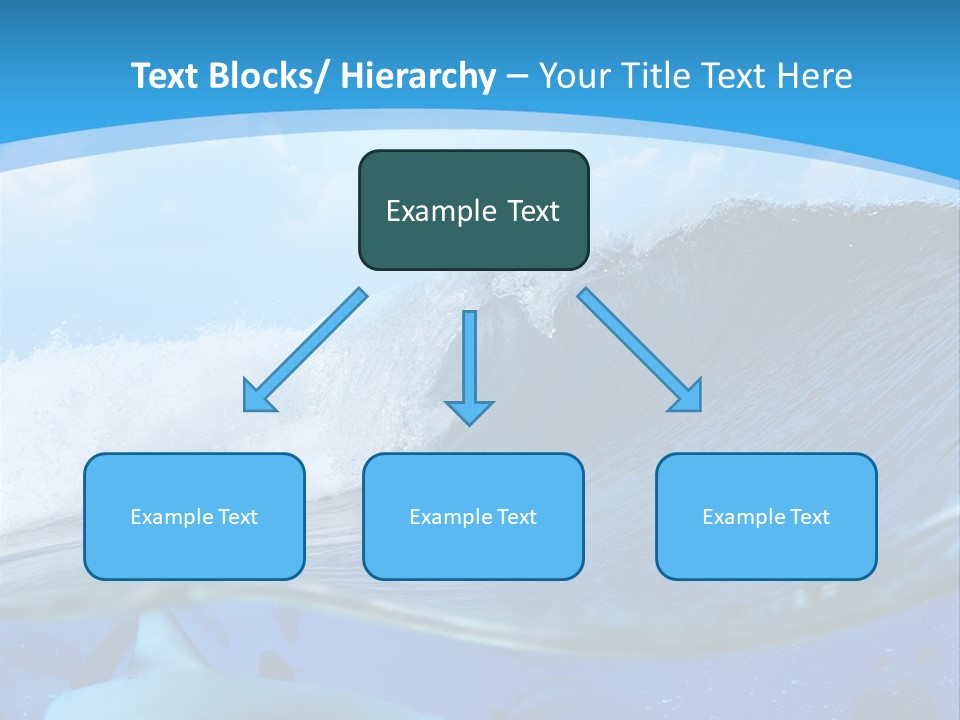 Bull Sharks PowerPoint Template