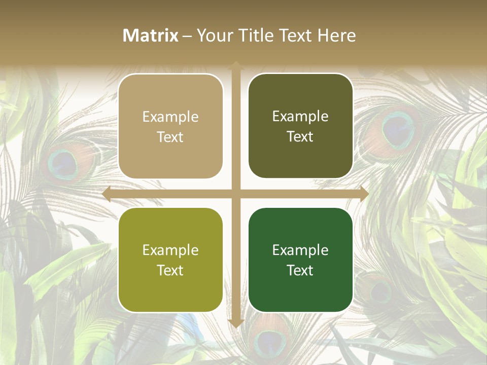 Peacock Feather Clip Art PowerPoint Template