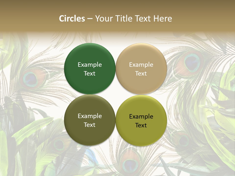 Peacock Feather Clip Art PowerPoint Template