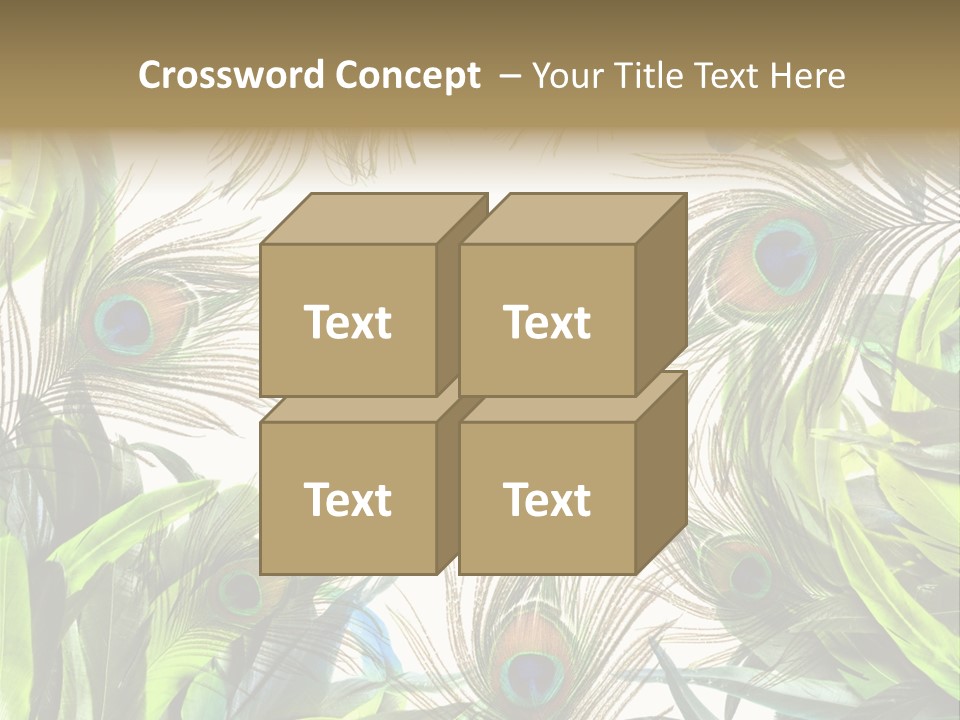 Peacock Feather Clip Art PowerPoint Template