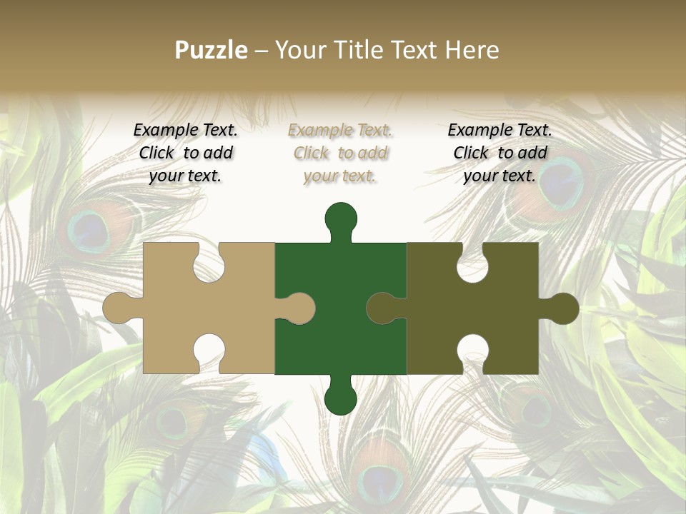 Peacock Feather Clip Art PowerPoint Template